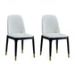 Industrial Ash Parsons Side Chair Leather Matte Finish Dining Chair (Set of 2) White Clearhalo ' kitchen&dining_furn' 'Dining Chairs' 'Dining Tables & Seating' 'dining_chair' 'furn' 'furn_dining_chair' 'Furniture' 'furniture_dining_chair' 'Kitchen & Dining Furniture' 'kitchen' 4104927
