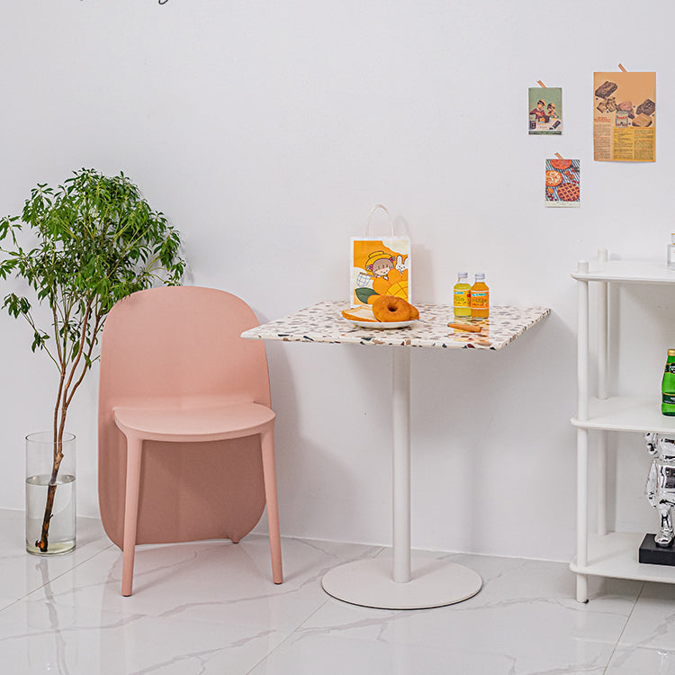 Nordic Style Plastic Dining Chair Dining Armless Side Chairs for Kitchen (Set of 2) Clearhalo ' kitchen&dining_furn' 'Dining Chairs' 'Dining Tables & Seating' 'dining_chair' 'furn' 'furn_dining_chair' 'Furniture' 'furniture_dining_chair' 'Kitchen & Dining Furniture' 'kitchen' 4106018