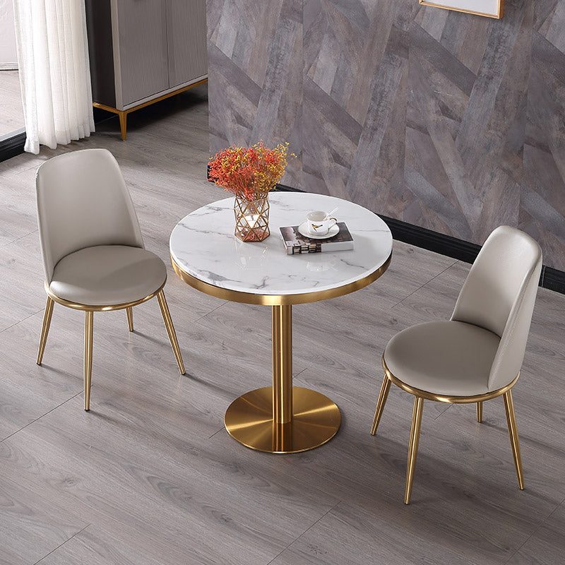 Marble Dining Table Luxury Style Single Pedestal Round Table for Dining Room Clearhalo ' dining_table' 'Dining Tables & Seating' 'Dining Tables' 'furn' 'furn_dining_table' 'Furniture' 'furniture_dining_table' 'Kitchen & Dining Furniture' 'kitchen&dining_furn' 'kitchen' 'kitchen_dining_table' 4110527