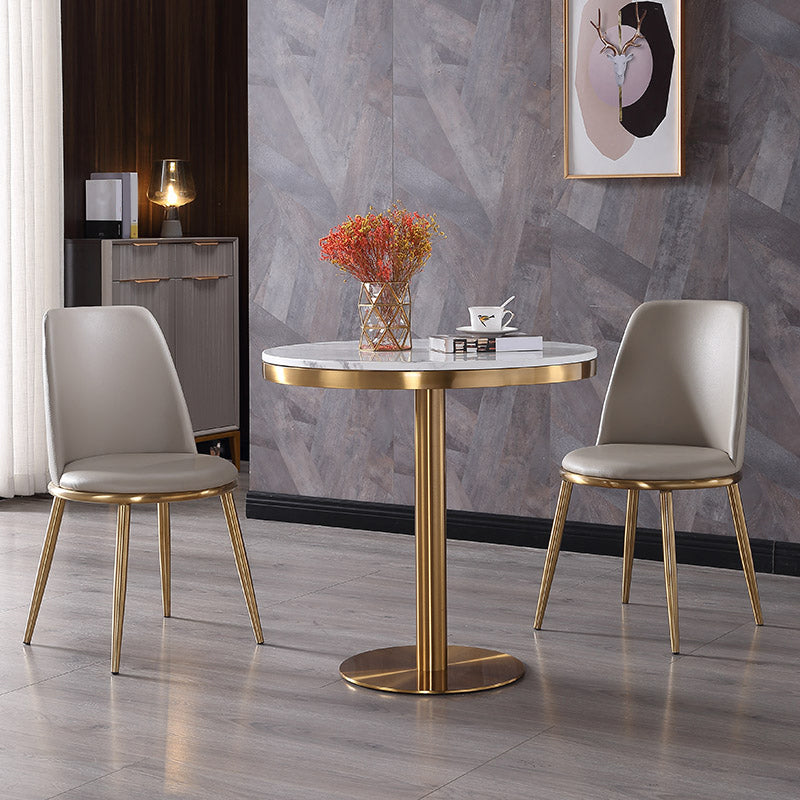 Marble Dining Table Luxury Style Single Pedestal Round Table for Dining Room Clearhalo ' dining_table' 'Dining Tables & Seating' 'Dining Tables' 'furn' 'furn_dining_table' 'Furniture' 'furniture_dining_table' 'Kitchen & Dining Furniture' 'kitchen&dining_furn' 'kitchen' 'kitchen_dining_table' 4110528