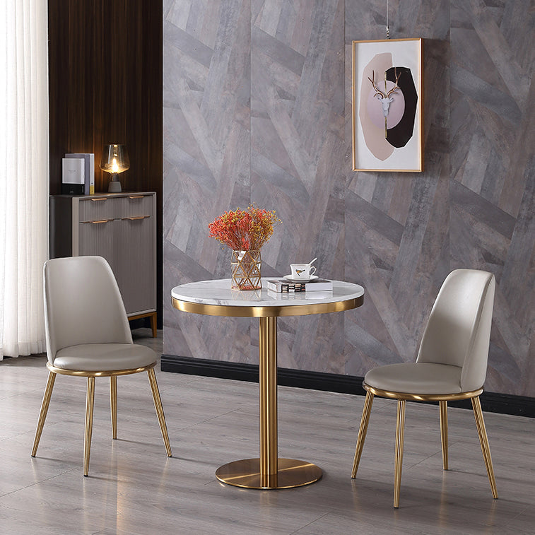 Marble Dining Table Luxury Style Single Pedestal Round Table for Dining Room Clearhalo ' dining_table' 'Dining Tables & Seating' 'Dining Tables' 'furn' 'furn_dining_table' 'Furniture' 'furniture_dining_table' 'Kitchen & Dining Furniture' 'kitchen&dining_furn' 'kitchen' 'kitchen_dining_table' 4110529