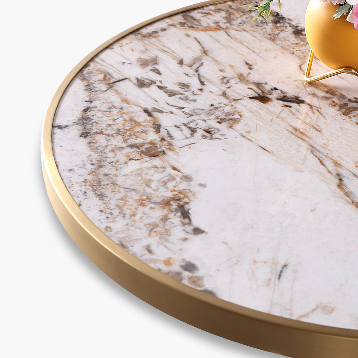 Round Stone Dining Table Traditional Luxury Dining Room Collection with Pedestal Base Clearhalo ' dining_table' 'Dining Tables & Seating' 'Dining Tables' 'furn' 'furn_dining_table' 'Furniture' 'furniture_dining_table' 'Kitchen & Dining Furniture' 'kitchen&dining_furn' 'kitchen' 'kitchen_dining_table' 4111105