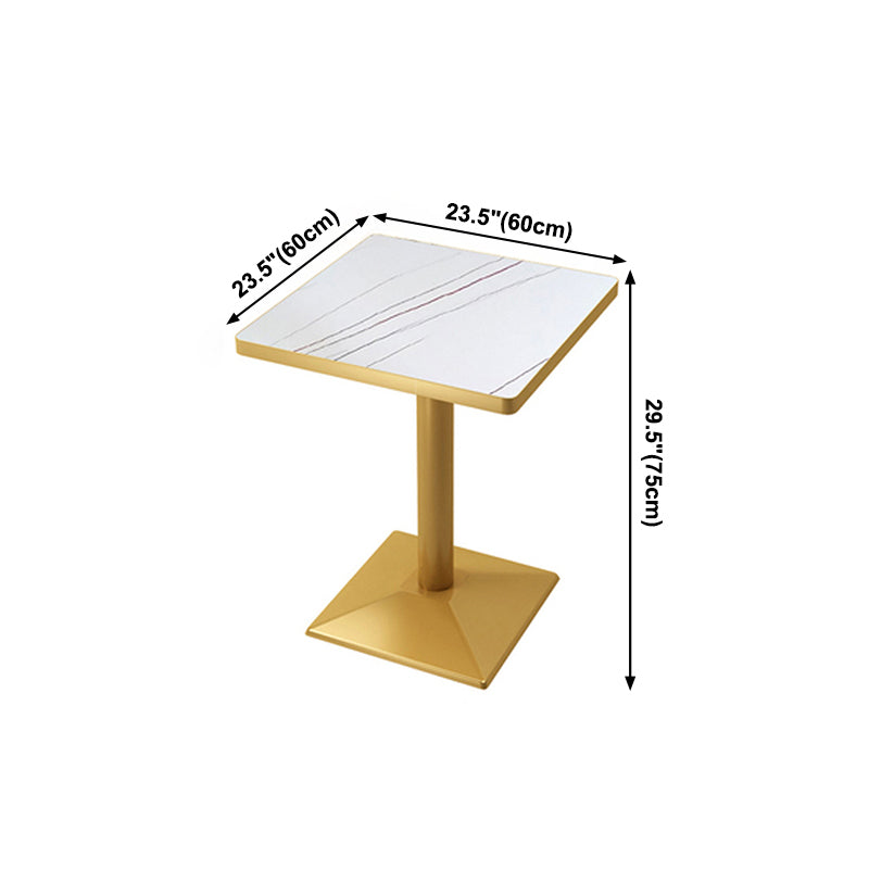 Metal Traditional Luxury Table Pedestal Base Table for Kitchen and Dining Room Clearhalo ' dining_table' 'Dining Tables & Seating' 'Dining Tables' 'furn' 'furn_dining_table' 'Furniture' 'furniture_dining_table' 'Kitchen & Dining Furniture' 'kitchen&dining_furn' 'kitchen' 'kitchen_dining_table' 4111974