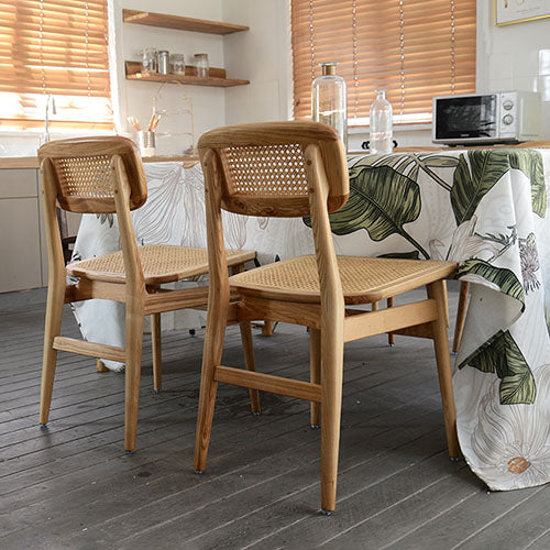 Indoor Armless Dining Chairs Rattan Side Chairs with Wood Legs (Set of 2) Clearhalo ' kitchen&dining_furn' 'Dining Chairs' 'Dining Tables & Seating' 'dining_chair' 'furn' 'furn_dining_chair' 'Furniture' 'furniture_dining_chair' 'Kitchen & Dining Furniture' 'kitchen' 4117823