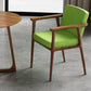 Traditional Style Indoor Arm Chair Solid Back Upholstered Dining Room Chair Green 1 Piece Clearhalo ' kitchen&dining_furn' 'Dining Chairs' 'Dining Tables & Seating' 'dining_chair' 'furn' 'furn_dining_chair' 'Furniture' 'furniture_dining_chair' 'Kitchen & Dining Furniture' 'kitchen' 4118216
