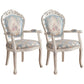 Victorian Fabric Home Arm Chair King Louis Back Matte Finish Dining Chair (Set of 2) Light Blue-White Clearhalo ' kitchen&dining_furn' 'Dining Chairs' 'Dining Tables & Seating' 'dining_chair' 'furn' 'furn_dining_chair' 'Furniture' 'furniture_dining_chair' 'Kitchen & Dining Furniture' 'kitchen' 4118245