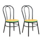 Contemporary Metal Dining Room Chairs Open Back Dining Armless Chair for Home Use Yellow 2 Piece Set Clearhalo ' kitchen&dining_furn' 'Dining Chairs' 'Dining Tables & Seating' 'dining_chair' 'furn' 'furn_dining_chair' 'Furniture' 'furniture_dining_chair' 'Kitchen & Dining Furniture' 'kitchen' 4129608