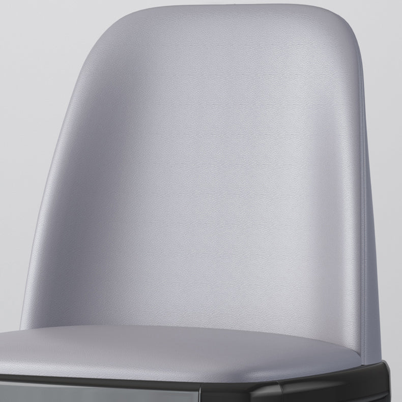 Industrial Rubberwood Parsons Side Chair Matte Finish Leather Dining Chair (Set of 2) Clearhalo ' kitchen&dining_furn' 'Dining Chairs' 'Dining Tables & Seating' 'dining_chair' 'furn' 'furn_dining_chair' 'Furniture' 'furniture_dining_chair' 'Kitchen & Dining Furniture' 'kitchen' 4129715