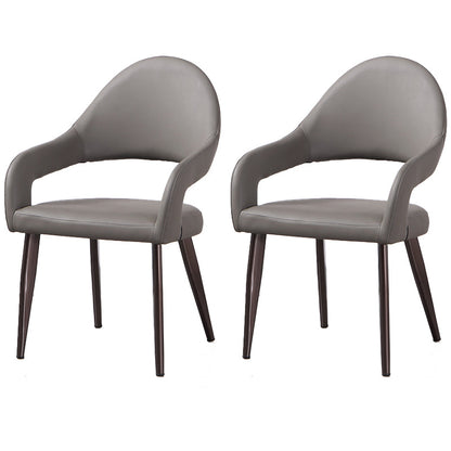 Contemporary Metal Dining Arm Chairs Open Back Dining Side Chair (Set of 2) Dark Gray Clearhalo ' kitchen&dining_furn' 'Dining Chairs' 'Dining Tables & Seating' 'dining_chair' 'furn' 'furn_dining_chair' 'Furniture' 'furniture_dining_chair' 'Kitchen & Dining Furniture' 'kitchen' 4130245