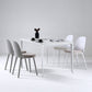 Scandinavian Style Plastic Dining Side Chair Home Open Back Armless Chair Clearhalo ' kitchen&dining_furn' 'Dining Chairs' 'Dining Tables & Seating' 'dining_chair' 'furn' 'furn_dining_chair' 'Furniture' 'furniture_dining_chair' 'Kitchen & Dining Furniture' 'kitchen' 4130897