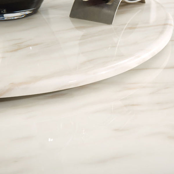 Marble Dining Table Luxury Style Single Pedestal Base Round Table for Dining Room Clearhalo ' dining_table' 'Dining Tables & Seating' 'Dining Tables' 'furn' 'furn_dining_table' 'Furniture' 'furniture_dining_table' 'Kitchen & Dining Furniture' 'kitchen&dining_furn' 'kitchen' 'kitchen_dining_table' 4154834