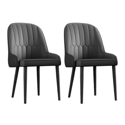 Scandinavian Style Metal Chairs Set Dining Room Kitchen Parsons Chairs Black 2 Piece Set Black Clearhalo ' kitchen&dining_furn' 'Dining Chairs' 'Dining Tables & Seating' 'dining_chair' 'furn' 'furn_dining_chair' 'Furniture' 'furniture_dining_chair' 'Kitchen & Dining Furniture' 'kitchen' 4155337