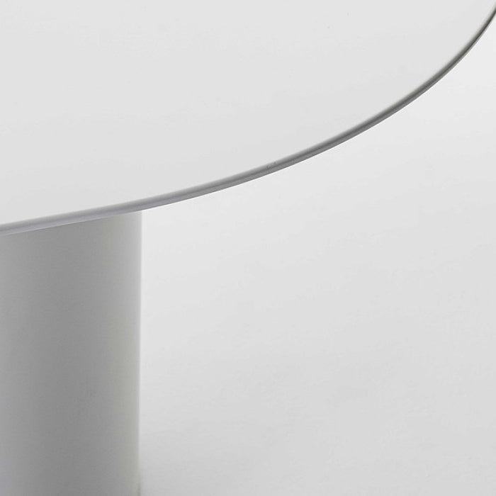 Modern Solid Wood Table for Restaurant Oval Dining Table in White with Double Pedestal Clearhalo ' dining_table' 'Dining Tables & Seating' 'Dining Tables' 'furn' 'furn_dining_table' 'Furniture' 'furniture_dining_table' 'Kitchen & Dining Furniture' 'kitchen&dining_furn' 'kitchen' 'kitchen_dining_table' 4155798