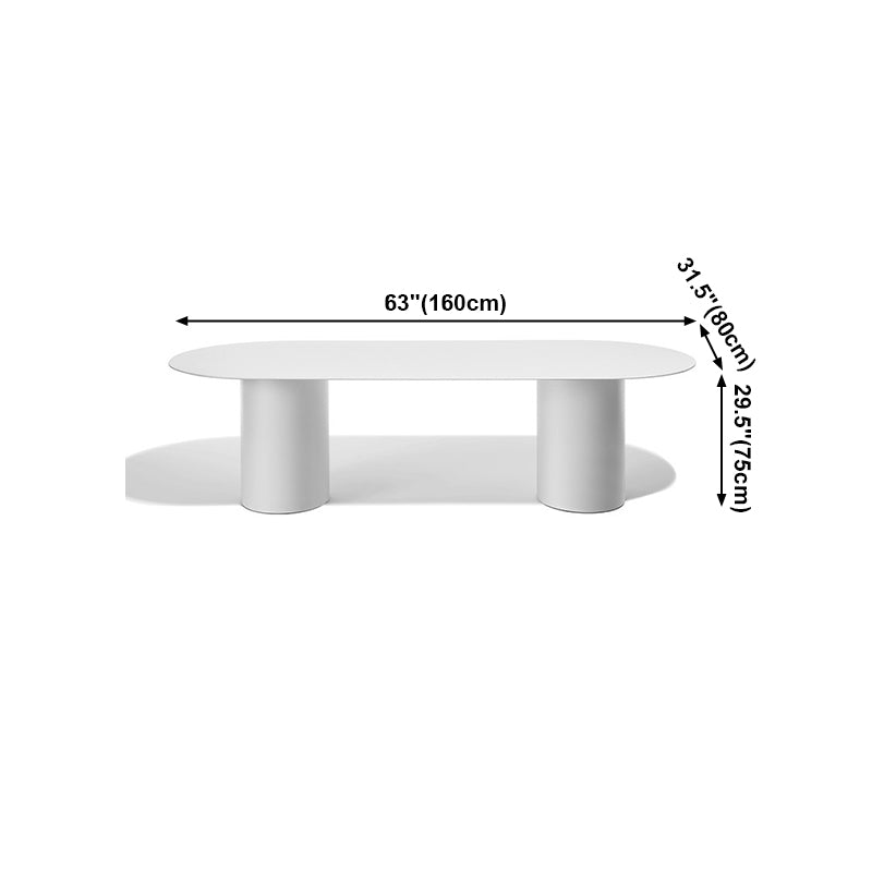Modern Solid Wood Table for Restaurant Oval Dining Table in White with Double Pedestal Clearhalo ' dining_table' 'Dining Tables & Seating' 'Dining Tables' 'furn' 'furn_dining_table' 'Furniture' 'furniture_dining_table' 'Kitchen & Dining Furniture' 'kitchen&dining_furn' 'kitchen' 'kitchen_dining_table' 4155800