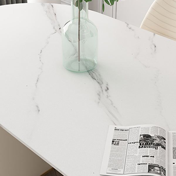 Metal Traditional Luxury Oval Table Sintered Stone Indoor Table for Dining Room Clearhalo ' dining_table' 'Dining Tables & Seating' 'Dining Tables' 'Furniture' 'furniture_dining_table' 'Kitchen & Dining Furniture' 'kitchen&dining_furn' 'kitchen' 'kitchen_dining_table' 4156271