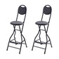 Modern Steel Low Back Counter Stools Round Folding Footrest Bar Stool for Bar Black With Back 2 Piece Set Clearhalo 'Bar Furniture' 'Bar Stools' 'bar_stools' 'furn' 'furn_bar_stools' 'furniture_bar_stools' 'Kitchen & Dining Furniture' 'kitchen&dining_furn' 'kitchen' 'kitchen_furn' Furniture' 4183906
