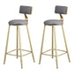 Glam Backrest Armless Counter Stool Iron Beauty Shop Bar Stool with Suede Cushion Grey 2 Piece Set Clearhalo 'Bar Furniture' 'Bar Stools' 'bar_stools' 'furn' 'furn_bar_stools' 'furniture_bar_stools' 'Kitchen & Dining Furniture' 'kitchen&dining_furn' 'kitchen' 'kitchen_furn' Furniture' 4183958