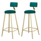 Glam Backrest Armless Counter Stool Iron Beauty Shop Bar Stool with Suede Cushion Green 2 Piece Set Clearhalo 'Bar Furniture' 'Bar Stools' 'bar_stools' 'furn' 'furn_bar_stools' 'furniture_bar_stools' 'Kitchen & Dining Furniture' 'kitchen&dining_furn' 'kitchen' 'kitchen_furn' Furniture' 4183972