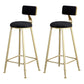 Glam Backrest Armless Counter Stool Iron Beauty Shop Bar Stool with Suede Cushion Black 2 Piece Set Clearhalo 'Bar Furniture' 'Bar Stools' 'bar_stools' 'furn' 'furn_bar_stools' 'furniture_bar_stools' 'Kitchen & Dining Furniture' 'kitchen&dining_furn' 'kitchen' 'kitchen_furn' Furniture' 4183976