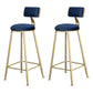 Glam Backrest Armless Counter Stool Iron Beauty Shop Bar Stool with Suede Cushion Blue 2 Piece Set Clearhalo 'Bar Furniture' 'Bar Stools' 'bar_stools' 'furn' 'furn_bar_stools' 'furniture_bar_stools' 'Kitchen & Dining Furniture' 'kitchen&dining_furn' 'kitchen' 'kitchen_furn' Furniture' 4183983