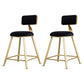 Glam Backrest Armless Counter Stool Iron Beauty Shop Bar Stool with Suede Cushion Black 2 Piece Set Short Stool(18"H) Clearhalo 'Bar Furniture' 'Bar Stools' 'bar_stools' 'furn' 'furn_bar_stools' 'furniture_bar_stools' 'Kitchen & Dining Furniture' 'kitchen&dining_furn' 'kitchen' 'kitchen_furn' Furniture' 4183991