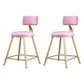 Glam Backrest Armless Counter Stool Iron Beauty Shop Bar Stool with Suede Cushion Pink 2 Piece Set Short Stool(18"H) Clearhalo 'Bar Furniture' 'Bar Stools' 'bar_stools' 'furn' 'furn_bar_stools' 'furniture_bar_stools' 'Kitchen & Dining Furniture' 'kitchen&dining_furn' 'kitchen' 'kitchen_furn' Furniture' 4183994