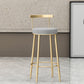 Glam Backrest Armless Counter Stool Iron Household Bar Stool with Cushion Clearhalo 'Bar Furniture' 'Bar Stools' 'bar_stools' 'furn' 'furn_bar_stools' 'furniture_bar_stools' 'Kitchen & Dining Furniture' 'kitchen&dining_furn' 'kitchen' 'kitchen_furn' Furniture' 4184426