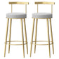 Glam Backrest Armless Counter Stool Iron Household Bar Stool with Cushion Gray 2 Piece Set Clearhalo 'Bar Furniture' 'Bar Stools' 'bar_stools' 'furn' 'furn_bar_stools' 'furniture_bar_stools' 'Kitchen & Dining Furniture' 'kitchen&dining_furn' 'kitchen' 'kitchen_furn' Furniture' 4184432