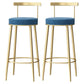 Glam Backrest Armless Counter Stool Iron Household Bar Stool with Cushion Blue 2 Piece Set Clearhalo 'Bar Furniture' 'Bar Stools' 'bar_stools' 'furn' 'furn_bar_stools' 'furniture_bar_stools' 'Kitchen & Dining Furniture' 'kitchen&dining_furn' 'kitchen' 'kitchen_furn' Furniture' 4184435