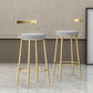 Glam Backrest Armless Counter Stool Iron Household Bar Stool with Cushion Clearhalo 'Bar Furniture' 'Bar Stools' 'bar_stools' 'furn' 'furn_bar_stools' 'furniture_bar_stools' 'Kitchen & Dining Furniture' 'kitchen&dining_furn' 'kitchen' 'kitchen_furn' Furniture' 4184441