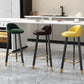 Modern Backrest Armless Counter Stool Steel Household Bar Stool with Cushion Clearhalo 'Bar Furniture' 'Bar Stools' 'bar_stools' 'furn' 'furn_bar_stools' 'furniture_bar_stools' 'Kitchen & Dining Furniture' 'kitchen&dining_furn' 'kitchen' 'kitchen_furn' Furniture' 4184534