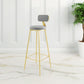 Glam Backrest Armless Counter Stool Iron Cafe Bar Stool with Suede Cushion Clearhalo 'Bar Furniture' 'Bar Stools' 'bar_stools' 'furn' 'furn_bar_stools' 'furniture_bar_stools' 'Kitchen & Dining Furniture' 'kitchen&dining_furn' 'kitchen' 'kitchen_furn' Furniture' 4185066