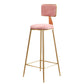 Glam Backrest Armless Counter Stool Iron Cafe Bar Stool with Suede Cushion Pink 1 Piece Bar Stool(30"H) Clearhalo 'Bar Furniture' 'Bar Stools' 'bar_stools' 'furn' 'furn_bar_stools' 'furniture_bar_stools' 'Kitchen & Dining Furniture' 'kitchen&dining_furn' 'kitchen' 'kitchen_furn' Furniture' 4185099