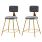 Glam Backrest Armless Counter Stool Iron Cafe Bar Stool with Suede Cushion Gray 2 Piece Set Short Stool(18"H) Clearhalo 'Bar Furniture' 'Bar Stools' 'bar_stools' 'furn' 'furn_bar_stools' 'furniture_bar_stools' 'Kitchen & Dining Furniture' 'kitchen&dining_furn' 'kitchen' 'kitchen_furn' Furniture' 4185102