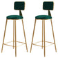 Glam Backrest Armless Counter Stool Iron Cafe Bar Stool with Suede Cushion Green 2 Piece Set Clearhalo 'Bar Furniture' 'Bar Stools' 'bar_stools' 'furn' 'furn_bar_stools' 'furniture_bar_stools' 'Kitchen & Dining Furniture' 'kitchen&dining_furn' 'kitchen' 'kitchen_furn' Furniture' 4185108