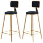 Glam Backrest Armless Counter Stool Iron Cafe Bar Stool with Suede Cushion Black 2 Piece Set Clearhalo 'Bar Furniture' 'Bar Stools' 'bar_stools' 'furn' 'furn_bar_stools' 'furniture_bar_stools' 'Kitchen & Dining Furniture' 'kitchen&dining_furn' 'kitchen' 'kitchen_furn' Furniture' 4185109