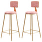 Glam Backrest Armless Counter Stool Iron Cafe Bar Stool with Suede Cushion Pink 2 Piece Set Clearhalo 'Bar Furniture' 'Bar Stools' 'bar_stools' 'furn' 'furn_bar_stools' 'furniture_bar_stools' 'Kitchen & Dining Furniture' 'kitchen&dining_furn' 'kitchen' 'kitchen_furn' Furniture' 4185110