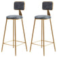 Glam Backrest Armless Counter Stool Iron Cafe Bar Stool with Suede Cushion Gray 2 Piece Set Clearhalo 'Bar Furniture' 'Bar Stools' 'bar_stools' 'furn' 'furn_bar_stools' 'furniture_bar_stools' 'Kitchen & Dining Furniture' 'kitchen&dining_furn' 'kitchen' 'kitchen_furn' Furniture' 4185111