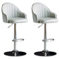 Modern Rotatable Armless Counter Stool Iron Household Bar Stool with Leather Cushion Light Gray Silver 2 Piece Set Clearhalo 'Bar Furniture' 'Bar Stools' 'bar_stools' 'furn' 'furn_bar_stools' 'furniture_bar_stools' 'Kitchen & Dining Furniture' 'kitchen&dining_furn' 'kitchen' 'kitchen_furn' Furniture' 4186445