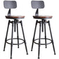 Industrial Style Round Seat Adjustable Height Counter Stool for Kitchen Bar With Back 2 Piece Set Clearhalo 'Bar Furniture' 'Bar Stools' 'bar_stools' 'furn' 'furn_bar_stools' 'furniture_bar_stools' 'Kitchen & Dining Furniture' 'kitchen&dining_furn' 'kitchen' 'kitchen_furn' Furniture' 4186776