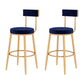 Glam Style Velvet Cushion Stool Low Back Bar Stool with Metal Leg Blue 2 Piece Set Clearhalo 'Bar Furniture' 'Bar Stools' 'bar_stools' 'furn' 'furn_bar_stools' 'furniture_bar_stools' 'Kitchen & Dining Furniture' 'kitchen&dining_furn' 'kitchen' 'kitchen_furn' Furniture' 4187008