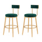 Glam Style Velvet Cushion Stool Low Back Bar Stool with Metal Leg Green 2 Piece Set Clearhalo 'Bar Furniture' 'Bar Stools' 'bar_stools' 'furn' 'furn_bar_stools' 'furniture_bar_stools' 'Kitchen & Dining Furniture' 'kitchen&dining_furn' 'kitchen' 'kitchen_furn' Furniture' 4187026