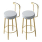 Glam Style Velvet Cushion Stool Low Back Bar Stool with Metal Leg Dark Gray 2 Piece Set Clearhalo 'Bar Furniture' 'Bar Stools' 'bar_stools' 'furn' 'furn_bar_stools' 'furniture_bar_stools' 'Kitchen & Dining Furniture' 'kitchen&dining_furn' 'kitchen' 'kitchen_furn' Furniture' 4187028