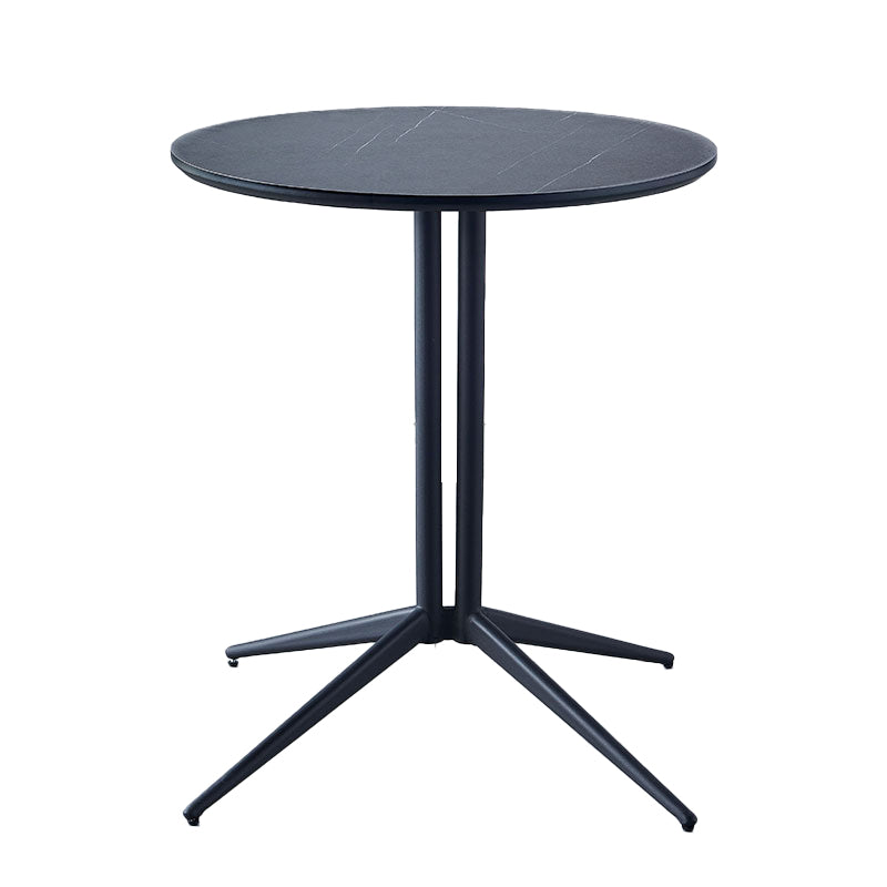 Metal Contemporary Round Dining Table Wood Top Indoor Table with Pedestal Base Black Without Chairs Clearhalo ' dining_table' 'Dining Tables & Seating' 'Dining Tables' 'furn' 'furn_dining_table' 'Furniture' 'furniture_dining_table' 'Kitchen & Dining Furniture' 'kitchen&dining_furn' 'kitchen' 'kitchen_dining_table' 4195670