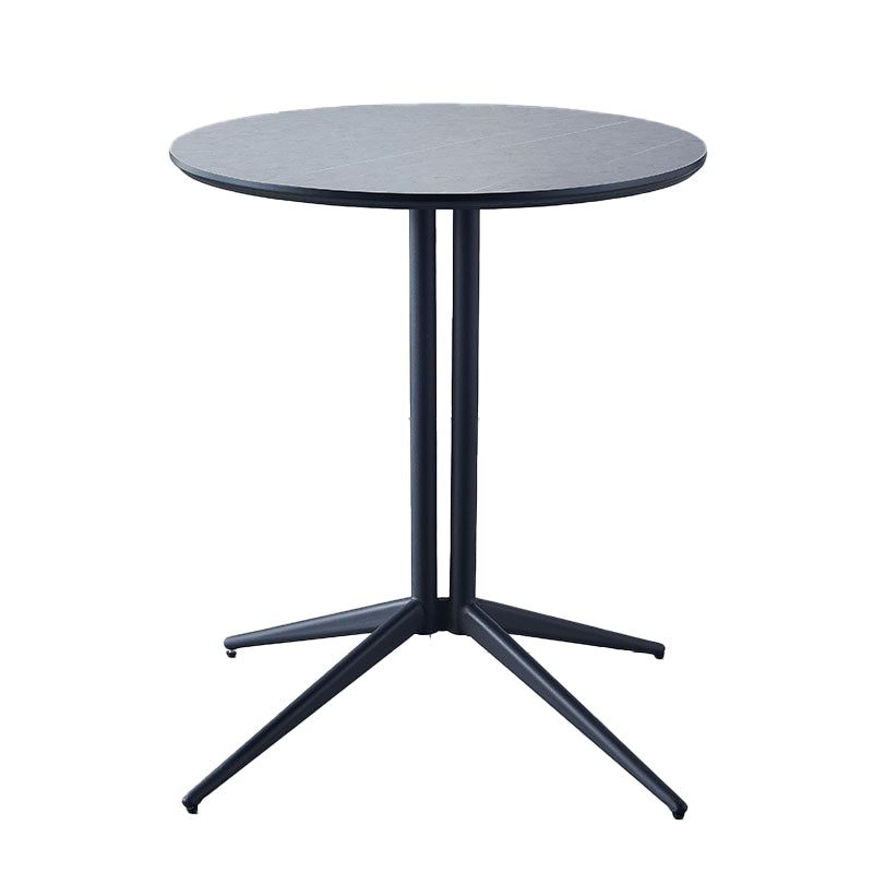Metal Contemporary Round Dining Table Wood Top Indoor Table with Pedestal Base Gray Without Chairs Clearhalo ' dining_table' 'Dining Tables & Seating' 'Dining Tables' 'furn' 'furn_dining_table' 'Furniture' 'furniture_dining_table' 'Kitchen & Dining Furniture' 'kitchen&dining_furn' 'kitchen' 'kitchen_dining_table' 4195673