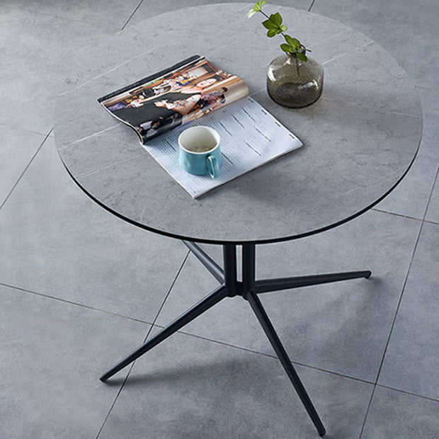 Metal Contemporary Round Dining Table Wood Top Indoor Table with Pedestal Base Clearhalo ' dining_table' 'Dining Tables & Seating' 'Dining Tables' 'furn' 'furn_dining_table' 'Furniture' 'furniture_dining_table' 'Kitchen & Dining Furniture' 'kitchen&dining_furn' 'kitchen' 'kitchen_dining_table' 4195675