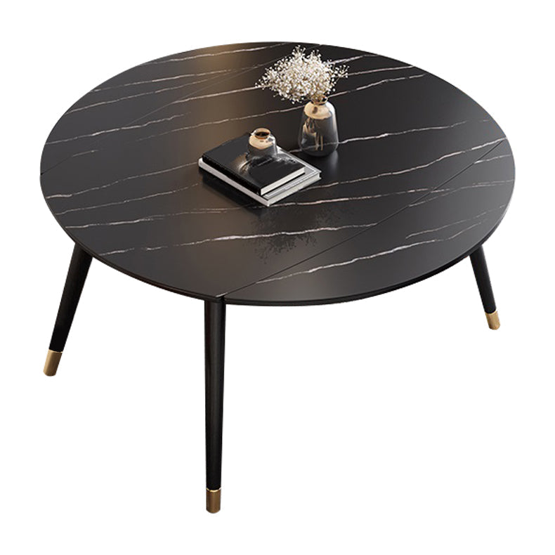 Contemporary Extendable Sintered Stone Table Round Shape Standard Dining Table for Kitchen Black Without Chairs Clearhalo ' dining_table' 'Dining Tables & Seating' 'Dining Tables' 'furn' 'furn_dining_table' 'Furniture' 'furniture_dining_table' 'Kitchen & Dining Furniture' 'kitchen&dining_furn' 'kitchen' 'kitchen_dining_table' 4195778