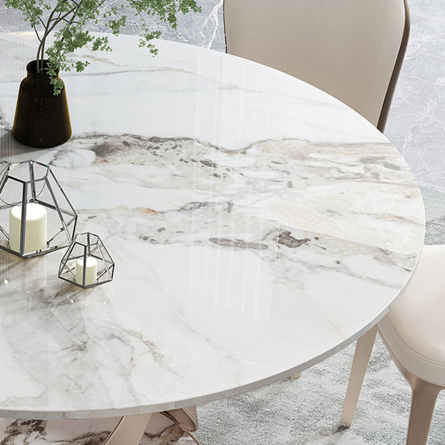 Glam Round Shape White Table Sintered Stone Standard Dining Table with Pedestal Base Clearhalo ' dining_table' 'Dining Tables & Seating' 'Dining Tables' 'furn' 'furn_dining_table' 'Furniture' 'furniture_dining_table' 'Kitchen & Dining Furniture' 'kitchen&dining_furn' 'kitchen' 'kitchen_dining_table' 4195825