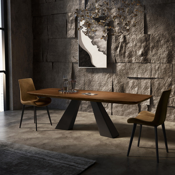 Rectangle Dining Table Industrial Style Double Pedestal Base Table for Dining Room Clearhalo ' dining_table' 'Dining Tables & Seating' 'Dining Tables' 'furn' 'furn_dining_table' 'Furniture' 'furniture_dining_table' 'Kitchen & Dining Furniture' 'kitchen&dining_furn' 'kitchen' 'kitchen_dining_table' 4196766