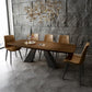 Rectangle Dining Table Industrial Style Double Pedestal Base Table for Dining Room Clearhalo ' dining_table' 'Dining Tables & Seating' 'Dining Tables' 'furn' 'furn_dining_table' 'Furniture' 'furniture_dining_table' 'Kitchen & Dining Furniture' 'kitchen&dining_furn' 'kitchen' 'kitchen_dining_table' 4196767